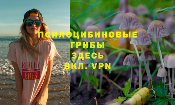 мескалин Алексин