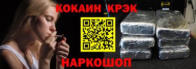 стафф Кингисепп
