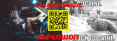стафф Кингисепп