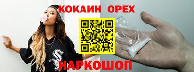 стафф Кингисепп