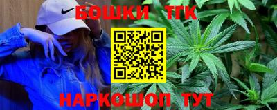 стафф Кингисепп