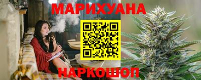 стафф Кингисепп