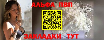 стафф Кингисепп