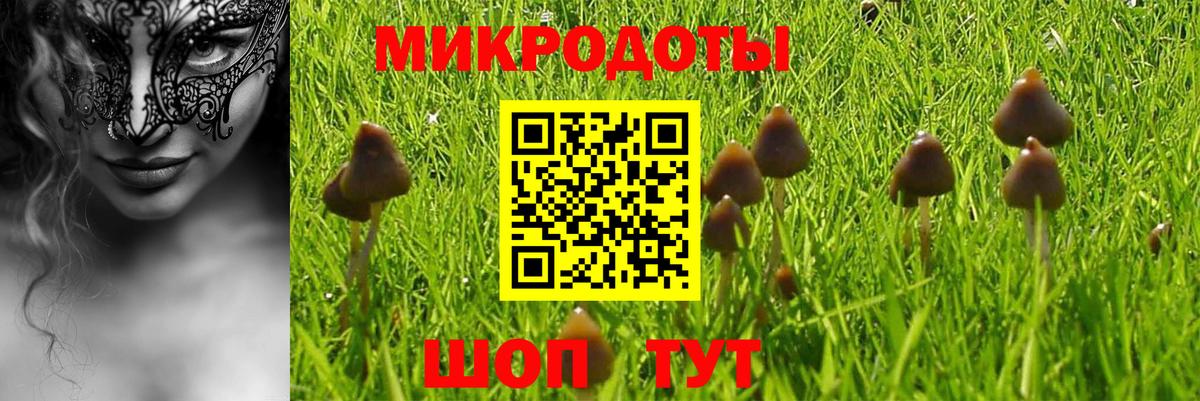 Псилоцибиновые грибы прущие грибы Мирный